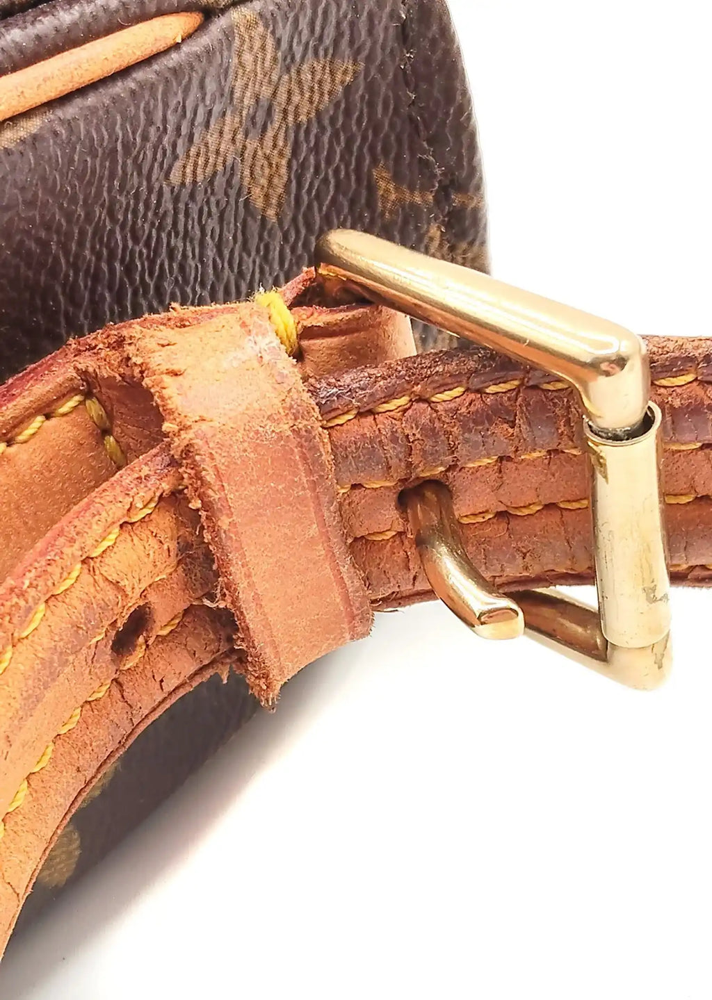 Borsa Viva Cité MM Louis Vuitton