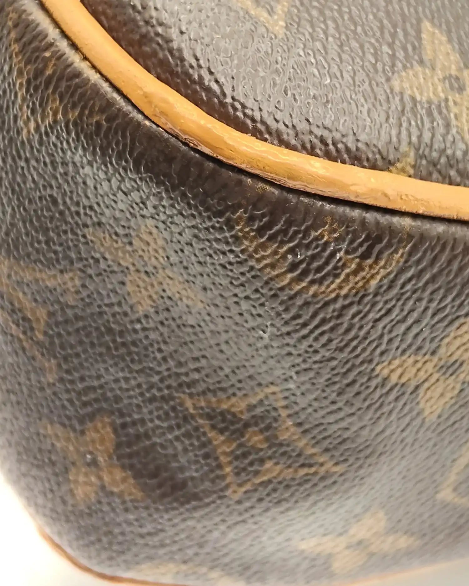 Borsa Hudson GM LOUIS VUITTON