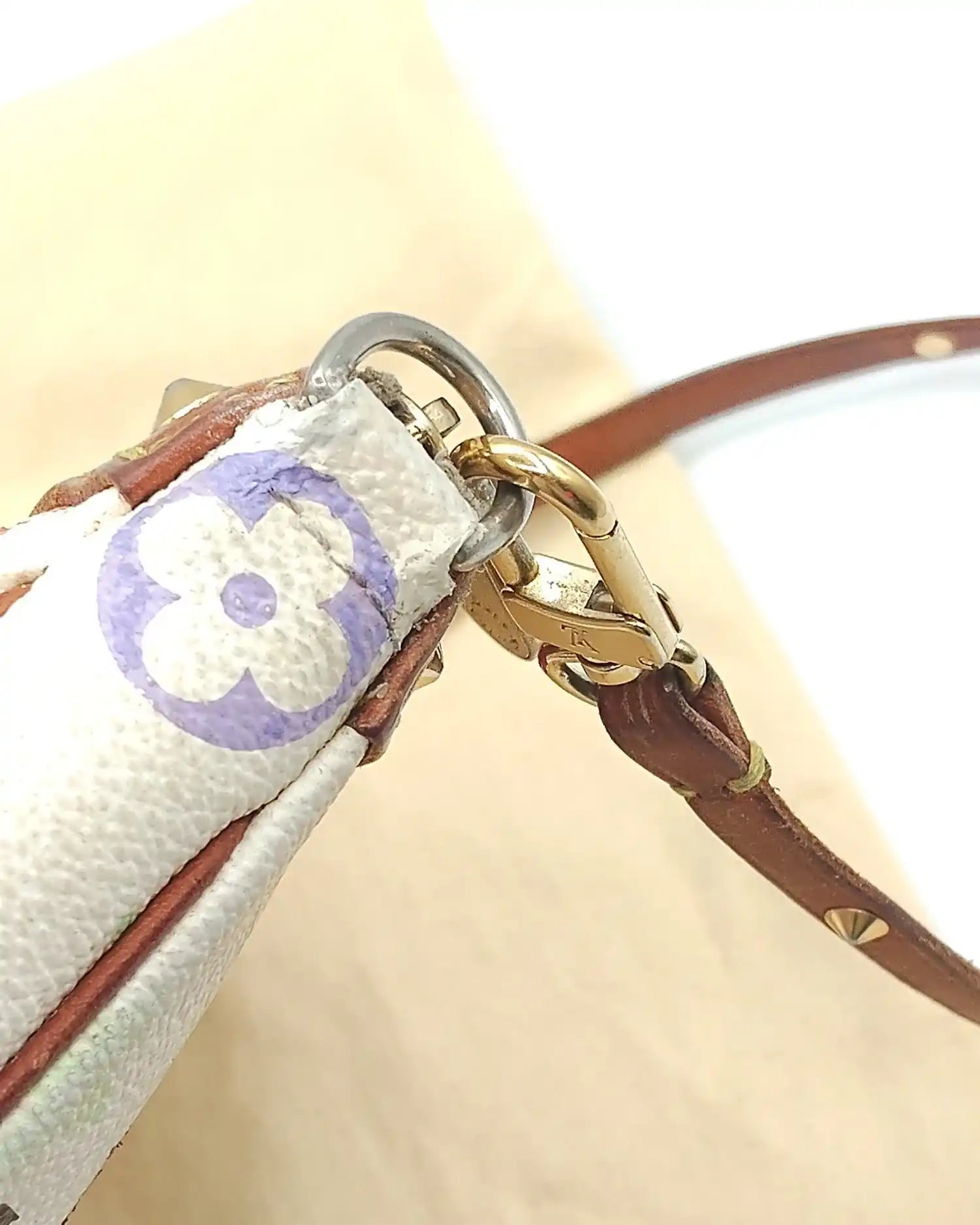 Pochette Accessoires Multicolor Ltd. Louis Vuitton