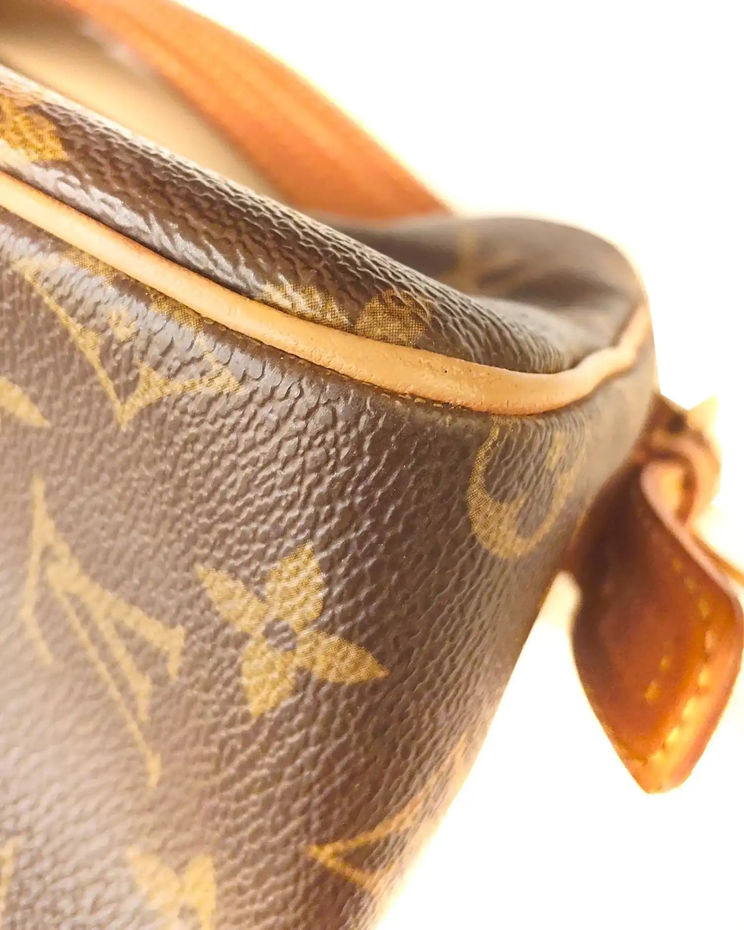 Borsa Viva Cité MM Louis Vuitton