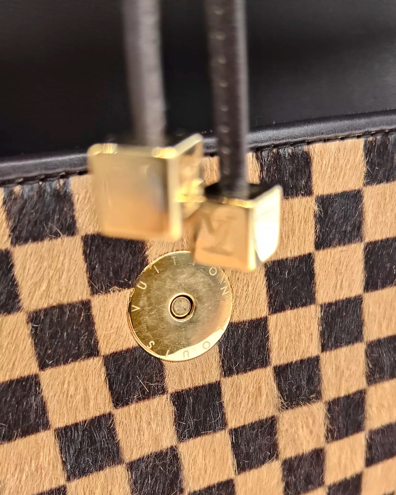 Borsa Sauvage Lionne Ltd. Louis Vuitton